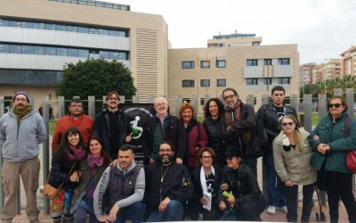 Proceso por incautación auto-cultivo cannabis medicinal