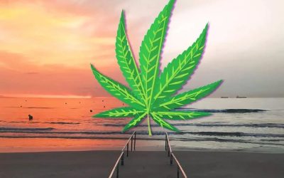 Cannabis para mejorar tu salud mental: Claves para la regulación.